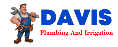 Trusted plumber in SAN BENITO